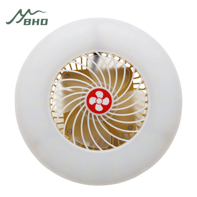 Camping Fan Lights.JPG